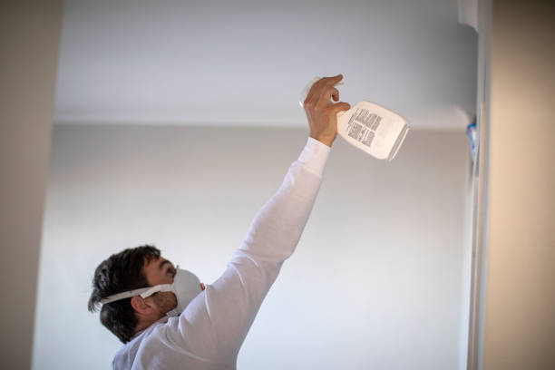 Best Best Mold Removal Companies  in Bridgeport, WA