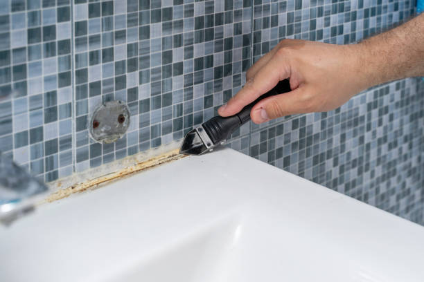 Professional Mold Removal in Bridgeport, WA
