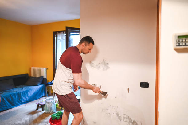 Best Professional Mold Removal  in Bridgeport, WA